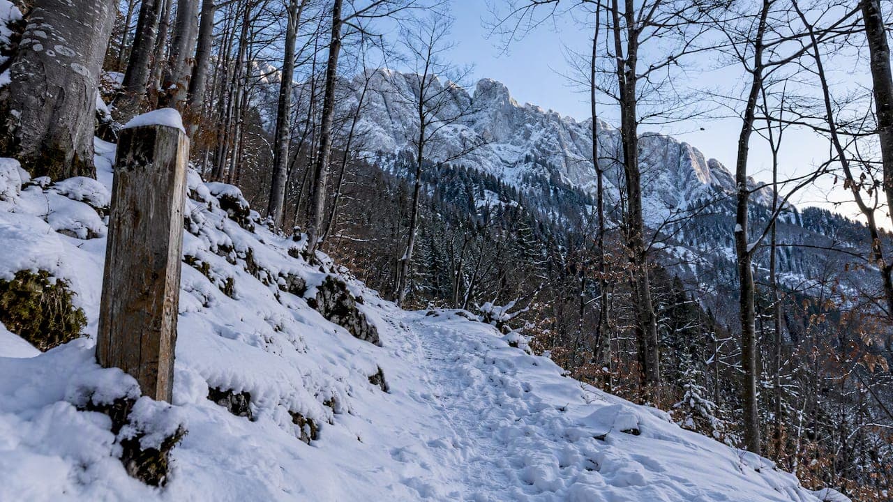 Iarna în Piatra Craiului: trasee sigure, lumină rece, ritm lent